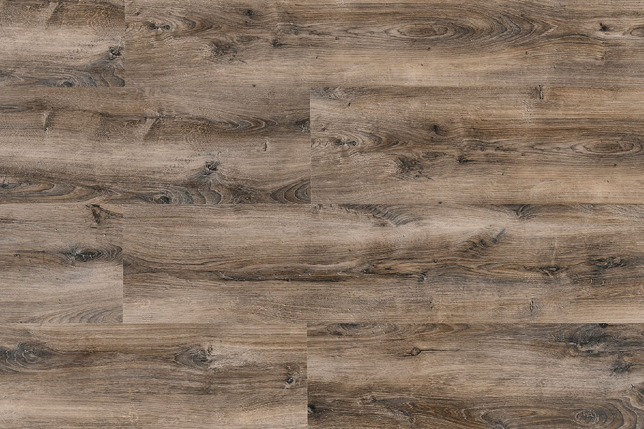 Celtic Oak -
7950172