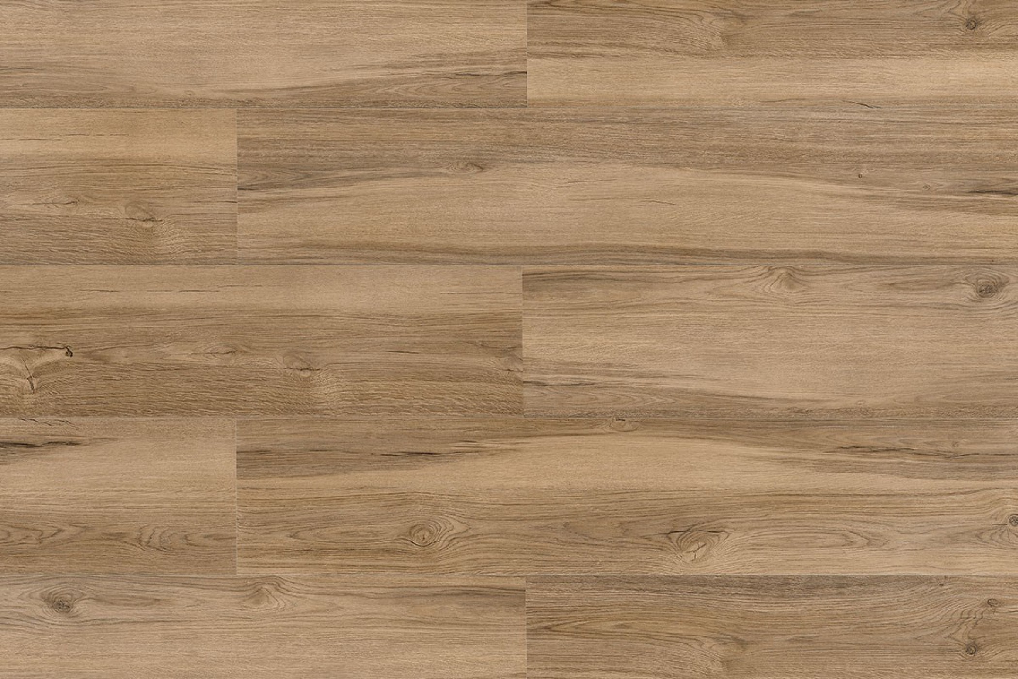 Smart Oak -
7950178